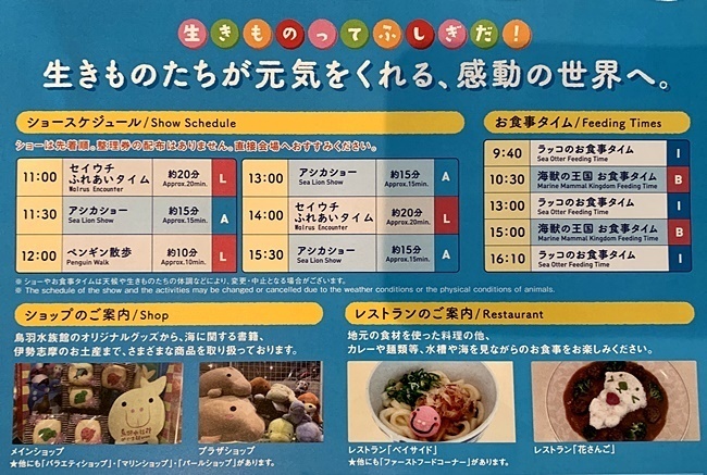 25.JPG