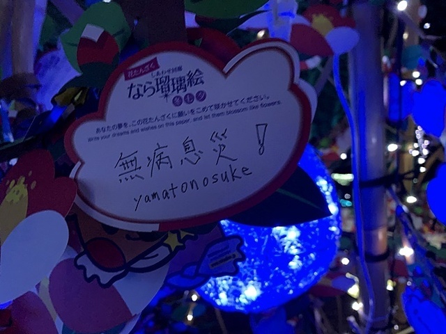 47.JPG