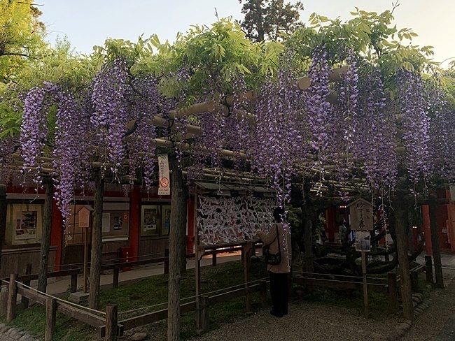 56.JPG